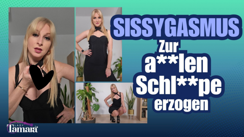Sissygasmus - Zur analen Schlampe erzogen